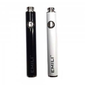 Μπαταρια Smiss Emilli  Αξεσουάρ