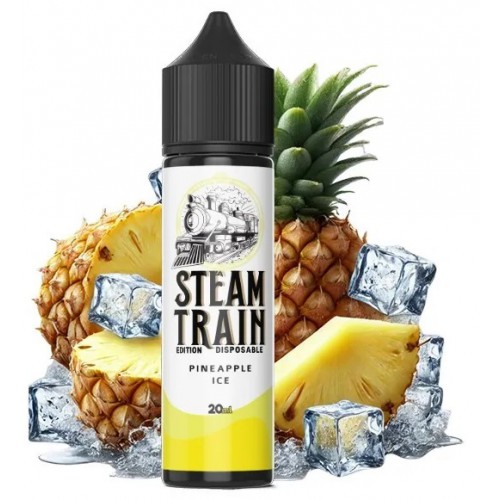Pineapple Ice Steam Train Disposable Edition 20ml/60ml