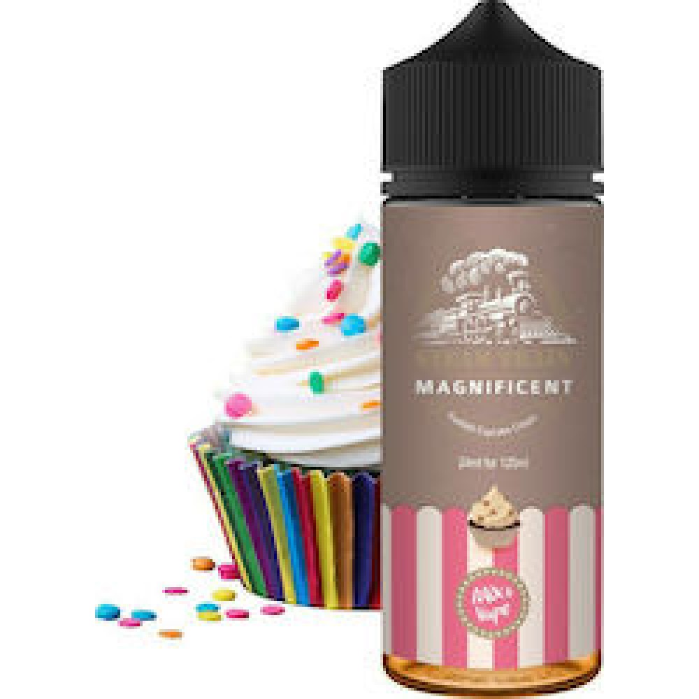 Magnificent Steamtrain Flavour shot 120ml Flavorshots